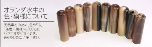 Amazon | オランダ水牛[牛角・ナチュラル]・寸胴12.0mm | 個人用印鑑