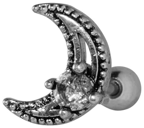 [From da Phactory] t _ t@Ng[ AeB[N [  WG Xg[go[x XeX sAX {fBsAX 1(20G Vo[)