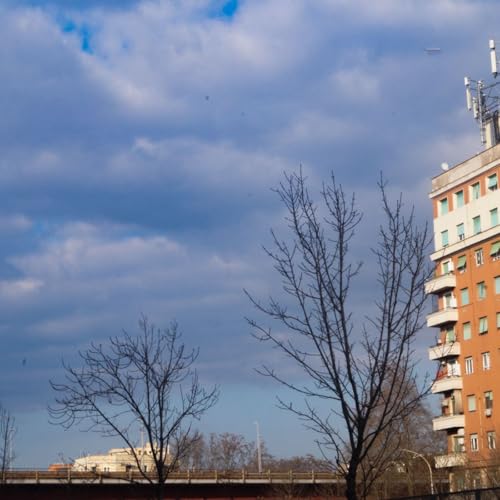 #729 Mafia cinese, famiglie sotto sgombero e altre storie di Roma copertina