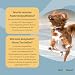 FeedMyAnimal EnzymoPet | 500 g | Ergänzungsfuttermittel für Hunde & Katzen | Zur ernährungsphysiologischen Unterstützung der Verdauungsfunktion | Mit Pankreatin