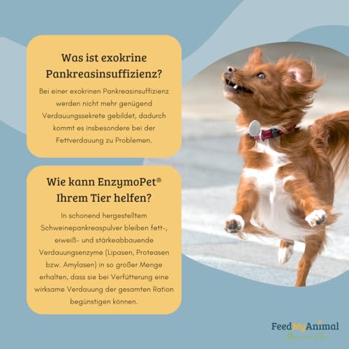 FeedMyAnimal EnzymoPet | 500 g | Ergänzungsfuttermittel für Hunde & Katzen | Zur ernährungsphysiologischen Unterstützung der Verdauungsfunktion | Mit Pankreatin