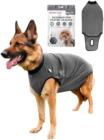 BellyGuard Recovery Suit for Dogs, Comfy Dog Surgery Suit, Female...