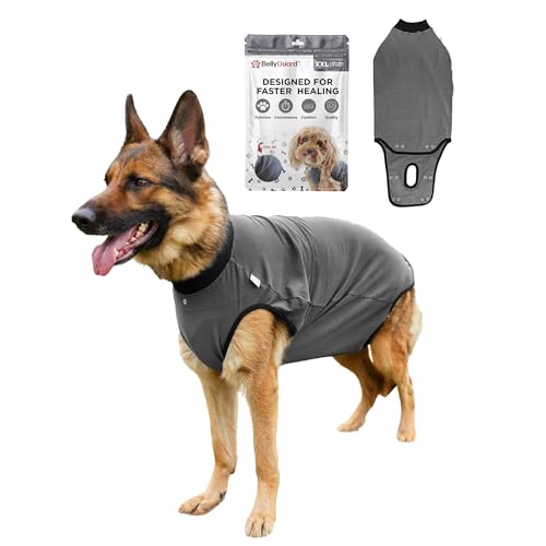 BellyGuard Dog Surgery Recovery Suit, Dog Onesie for Post-Op Care, Recovery Apparel for Female and Male, Surgical Body Cover for Canine Healing Support