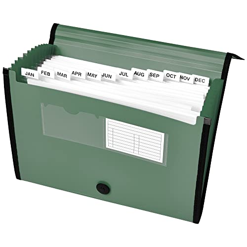 Image of Avery Expanding File Folder Organizer, 13-Pocket Accordion File Organizer, Sage, Holds 425 Letter /A4-Size Sheets (73555) (Pack of 6)
