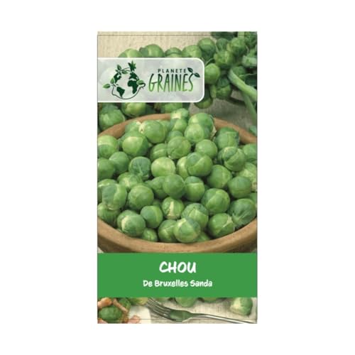 30 graines de chou de bruxelles sanda - sucré et noiseté - Planète graines