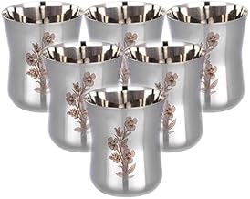 Stainless Steel Water Glasses, Pari Design with Laser Flower Design Capacity, Set of 6 (Stainless Steel Damru, 300 ML)