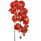 Larksilk Artificial Orchid Stems, Real Touch Phalaenopsis Flowers, Orange, 33.5' Tall, Pack of 2