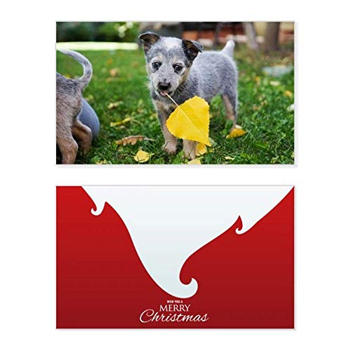 Carte de Noël vintage avec photo de chiot mignon pour vœux rétro