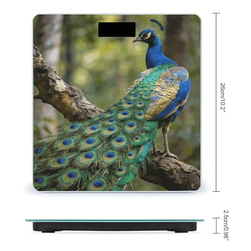 Báscula digital Colorful Peacock para baño, precisión 400lb miniatura 2