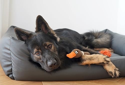 4L Textil Mario Wasserfestes Hundebett Aus Kunstleder - Hundekorb für Große und Mittelgroße Hunde - Hundesofa XXL Hundekissen (120x90x25 cm, Graphit)