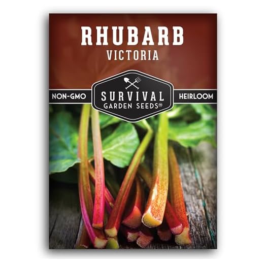 Growing Canadian red rhubarb - All you need to know 5 Survival Garden Seeds - Victoria Rhubarb Seed for Planting - Packet with Instructions to Plant and Grow Delicious and Tangy Red Stalks in Your Home Vegetable Garden - Non-GMO Heirloom Variety