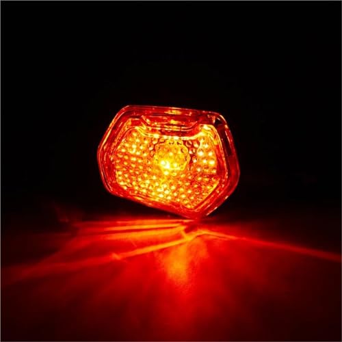 Clignotants Moto LED Remplacement Idéal contre la Pluie pour ZUMA 110C