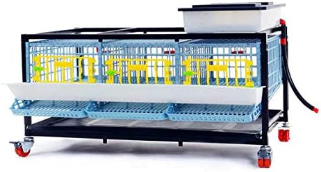 Quail Cage, Triple Compartment, The Patented Design, First in The World, Professional Quail Egg cage