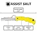 Spyderco Assist Salt Knife with 3.68