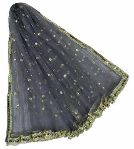 Image of Navti Creations Women's Lightweight Net Dupatta With Sequence Embroidery & Kiran Border (Length 2.25m)