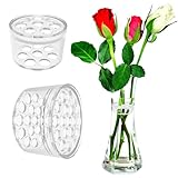 LGWJHCY Flower Stem Holder-Spiral Ikebana Stem Holder-Spiral Stem Holder, for Goods Clear Spiral Flower Stem Stand, Flower Arrangement Holder Transparent (2PCS)