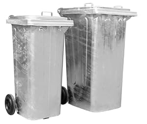 BAUZAUNWELT Mülltonne aus feuerverzinktem Stahl 240 Liter