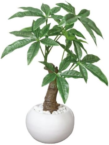 Amazon Co Jp 光触媒観葉植物 パキラポット テーブルタイプ 光触媒 花 スプレー インテリアグリーン 胡蝶蘭 消臭 大型 ホーム キッチン