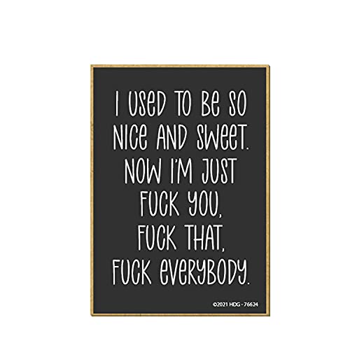 Honey Dew Gifts I Used to Be Nice and Sweet Magnet 76624