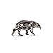 Produktbild CollectA Baird's Tapir Calf Figure by Collecta