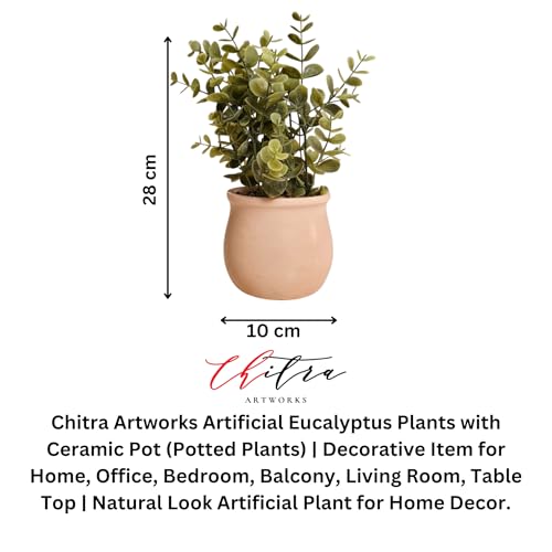 Image of Chitra Artificial Fern Plant with Pot for Home, Office, Living Room & Counter Decoration | Realistic Faux Greenery for Indoor Use | Durable Plastic Pot (2)