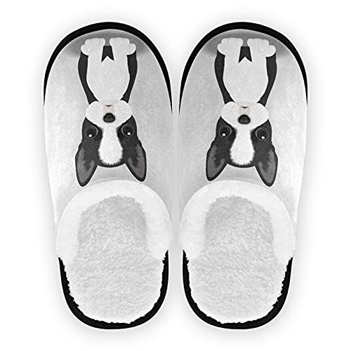 House Spa Xbp fB[X Y s pXbp \tg ᔽf ~ ze xbh[ V[Y Xbp, }`12, 5-8