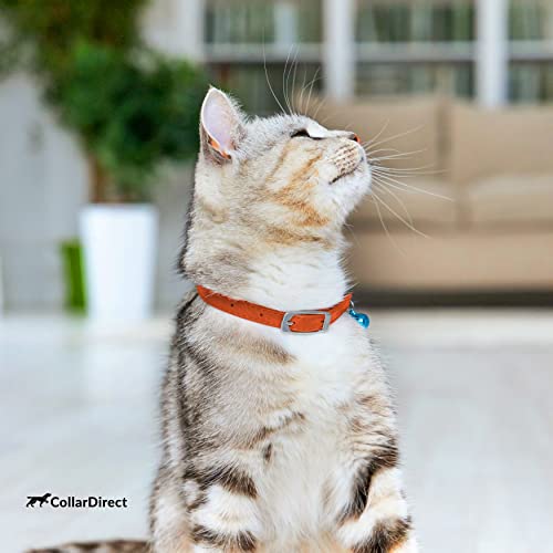 Image of CollarDirect Leather Cat Collar, Cat Safety Collar with Elastic Strap, Kitten Collar for Cat with Bell Black Blue Red Orange Lime Green (Neck Fit 6 inch-7 inch, Orange)