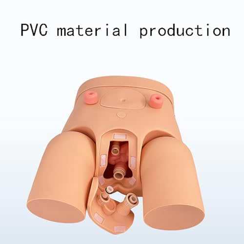 Katheterisatie klysma oefenpop model, PVC onderwijs simulator met afneembare onderdelen voor realistische urethra katheterisatie training - Afbeelding 4