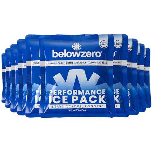 Below Zero prefilled reusable ice packs for coolers