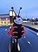 Tenna Tops Lucky Red Ladybug Car Decor Antenna Topper Auto Accessory