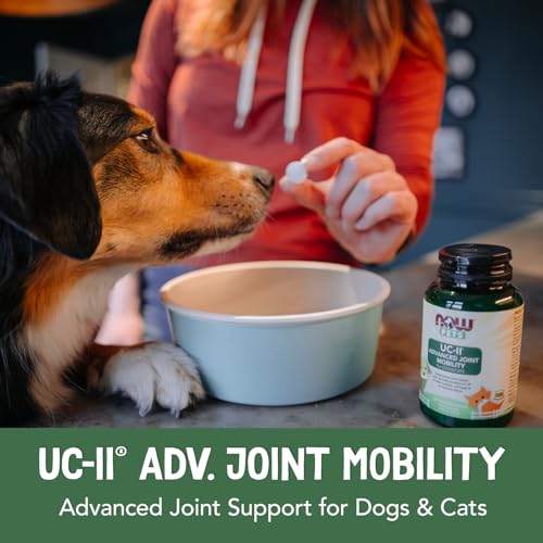Image of Now Pets, UC-II Advanced Joint Mobility for Dogs and Cats, Veterinarian formulated, Help Maintain Cartilage and Connective Tissue*, Tablets (60 Grams), 60 Chewables (Pack of 12)