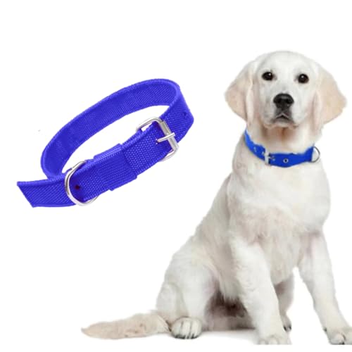 Image of Dog Neck Belt Collar, Comfortable, Adjustable Size for 24-35 Kg Pet (Blue, Large)