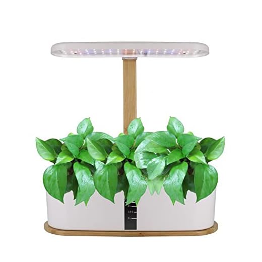 VolksRose Sistema de Cultivo Hidropónico