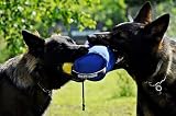 DINGO GEAR Ugryzienie holownik cukierki do treningu gryzienia IGP Retrieve Tug of War pomarańczowy S00098, XL