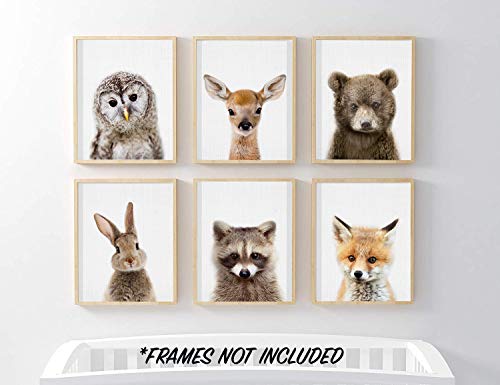 EPHANY Baby Animal Posters and Prints Rabbite Deer Fox Canvas Painting Nursery Pig Wall Art, Piglet Print Wall Art Nordic Picture Kids Room Decoration YMX014 (12"X16"(30x40cm)) by EPHANY - Used condition - Image 4