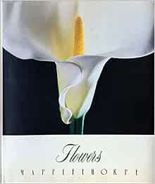 Flowers メイプルソープの花 パティ スミス 育郎 高野 本 通販 Amazon Flowers メイプルソープの花 パティ スミス 育郎 高野 本 通販 Amazon