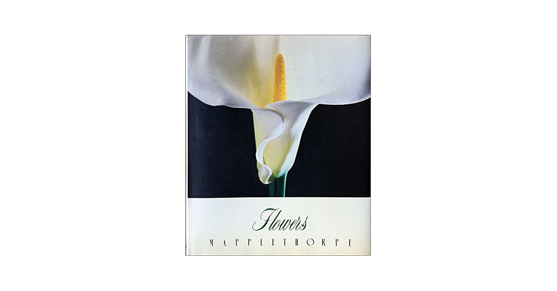 FLOWERS Mapplethorpe メイプルソープの花 洋書 Robert