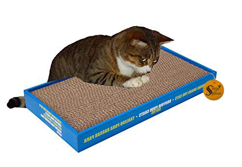 Sage Square Jumbo Size Scratching Board Cum Healthy Toy with Catnip for Cat/Kitten/Puppy (B07R2DMKX5) Amazon Price History, Amazon Price Tracker