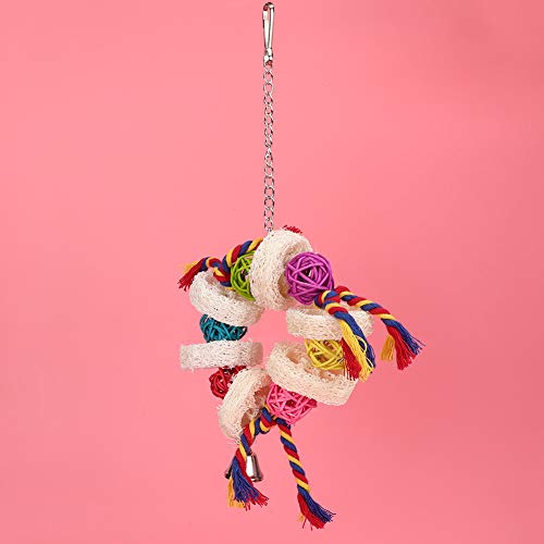 Conjunto de brinquedos para mastigar papagaio - Brinquedo de madeira para brincar de pássaro com cor