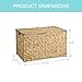 MOORLITER Water Hyacinth Storage Basket with Lid, 17.2 Gallon (65L) Wicker Storage Trunk with Handles, Handwoven Wicker Storage Bin for Blanket, Foldable, for Living Room, Laundry Room, Natural