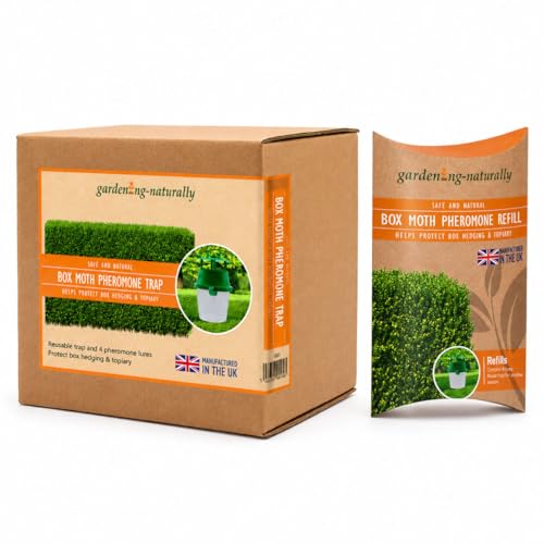 Box Tree Moth Trap Pheromone Trap and Refill for Buxus Hedges