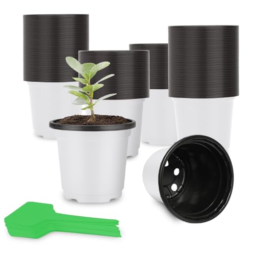 CNNIK 100 Stück Anzuchttöpfe 12cm