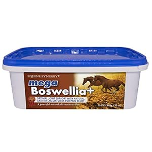 MEGA BOSWELLIA + Promotes Healthy Joints with Natural Pain Relievers and Anti-Inflammatories – an Effective, Powerful…