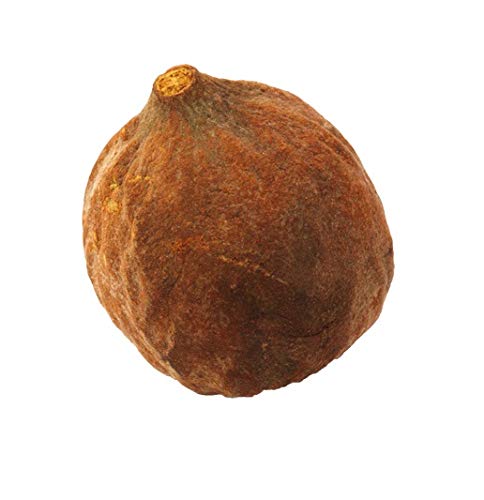 LAXRA Organic Raw Baheda/Bibhitaki/Vibhitaki/Vibheetaki/Terminalia Bellirica/Bellerica (500 Gms)