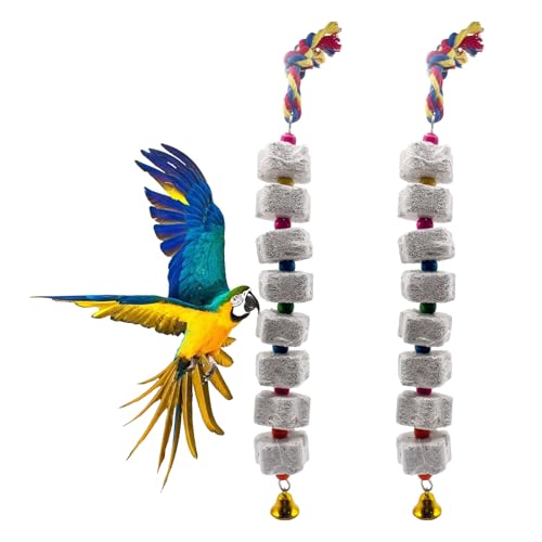 Lot de 2 grands jouets à mâcher pour oiseau - Pierre à aiguiser en calcium avec cloches - Pour perroquet, oiseau, perroquet - Pierre à aiguiser à bec d'oiseau - Pour perruches, calopsittes