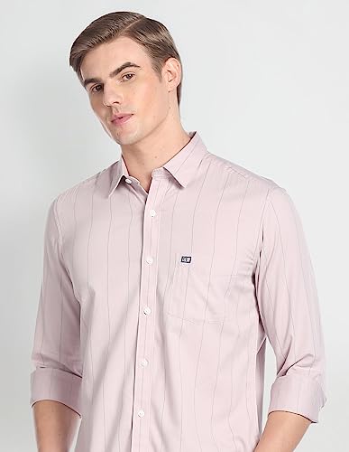Image of Arrow Men's Cotton Striped Regular Fit Shirt