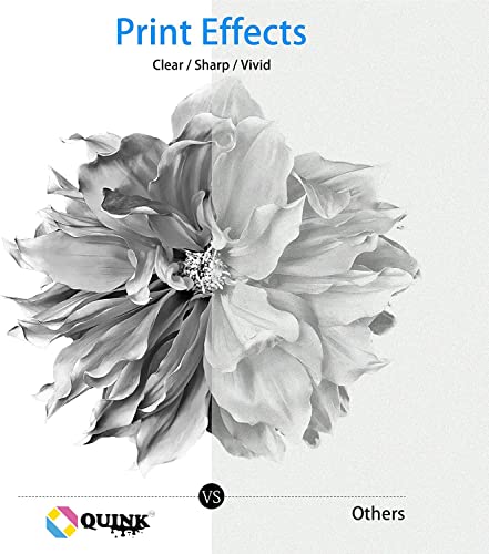 Image of QUINK DR -1020 Drum Unit Use in Brother HL-1110 /1111 /1112 DCP-1510 /1511 /1512 /1515 MFC-1810 /1811 /1812 /1815 (DR-1020 Drum Unit)