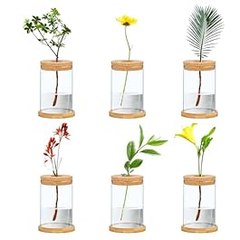 6 Pcs Plant Propagation...