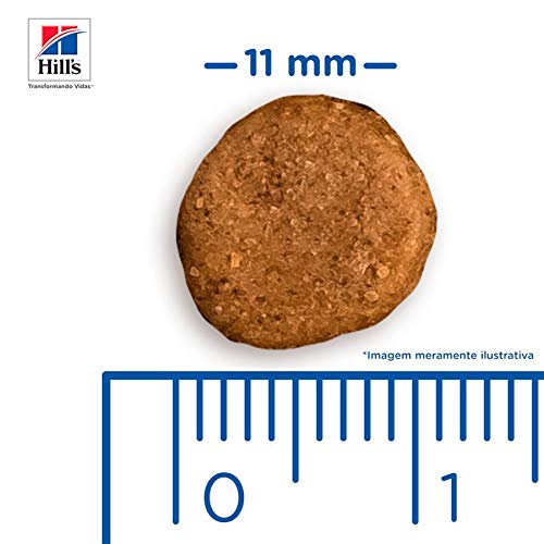 Ração Hills Prescription Diet Canino U/D Problemas Trato Urinário - 3,8kg