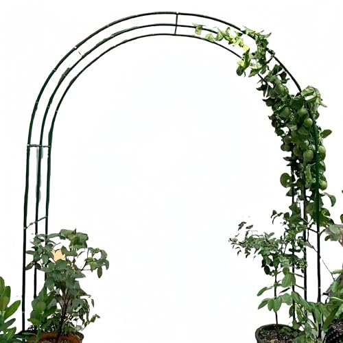 Romántico pabellón de jardín con arco de rosas para plantas trepadoras y verduras